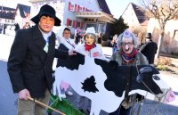 Fasnet Hirrlingen 2018; Umzug am Fasnetsdienstag