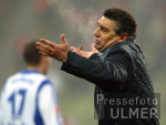 Assauer