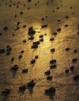 FUSSBALL WM 2014 Land und Leute