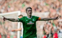 Fussball, 1. Bundesliga  Saison 2013/2014: SV Werder Bremen - 1899 Hoffenhein