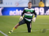 Fussball  1. Bundesliga  13/14: TSG 1899 Hoffenheim - SV Werder Bremen