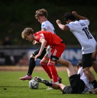 Fussball U 17 DFB Nachwuchsliga 2025/2026
SSV Ulm - FC Bayern Muenchen