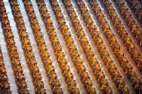 FUSSBALL  Olympia 2008  EROEFFNUNGSFEIER