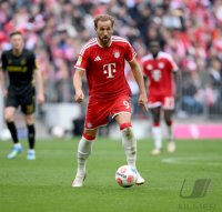 Fussball  1. Bundesliga   Saison 2025/2026     34. Spieltag  FC Bayern Muenchen - 1. FC Koeln