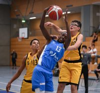 JBBL Basketball 23/24 SV03 Tuebingen Young Tigers - Rhein-Neckar Metropolitans