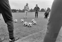Fussball 1. Bundesliga Saison 1973/1974: Lattek, Hoffmann