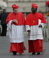 Vatikan; Tod von Papst Johannes Paul II, Kardianl Walter Kasper