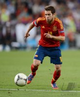 Fussball International Europameisterschaft 2012, Halbfinale: Portugal - Spanien