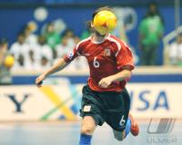 Fussball International FIFA FUTSAL WM 2008