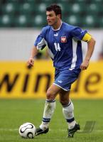 Fussball  WM 2006: Testspiel Kroatien gegen Polen