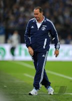 Fussball 1. Bundesliga Saison 2012/2013: FC Schalke 04 - VfL Wolfsburg