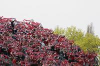 Fussball 1. Bundesliga: FSV Mainz 05 - Bayern Muenchen, Jubel.