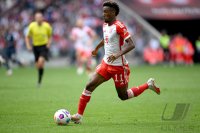Fussball 1. Bundesliga 23/24: FC Bayern Muenchen - VfL Bochum)