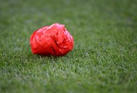 Fussball 1. Bundesliga 24/25: FC Bayern Muenchen - Borussia Moenchengladbach