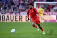 Fussball 1. Bundesliga 24/25: FC Bayern Muenchen - Holstein Kiel