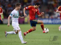 Fussball International Europameisterschaft 2012, Halbfinale: Portugal - Spanien