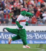 FUSSBALL 1. BUNDESLIGA 08/09: VfB Stuttgart  -  SV Werder Bremen