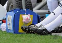 Fussball Frauen FIFA U 17  WM  2008  Deutschland - Korea DVR