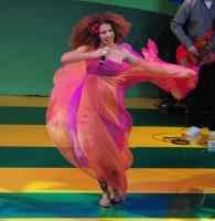 FUSSBALL WM 2014  LOGOPRAESENTATION