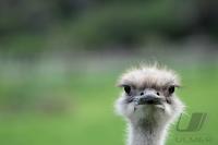 LAND UND LEUTE  FUSSBALL WM 2010