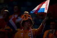 FUSSBALL EURO 2008: Niederlande - Italien