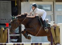 Reiten Horb-Nordstetten Turnier Mai 2012