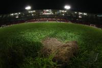 Fussball WM 2006 ESP-TUN