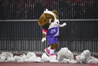 Fussball International Frauen Laenderspiel: Schweiz - Deutschland