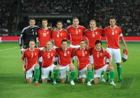 Fussball WM  2010  Qualifikation: Ungarn - Portugal