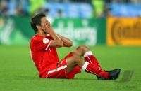 FUSSBALL EURO 2008: Oesterreich - Polen