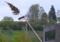 Schmuckbild, Maibaumstellen in Dusslingen (Kreis Tuebingen)