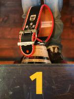 Ski Alpin  Herren Riesenslalom  Adelboden