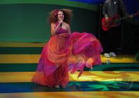 FUSSBALL WM 2014  LOGOPRAESENTATION