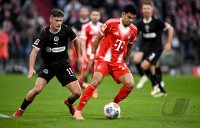 Fussball 1. Bundesliga  Saison  2025/2026  12. Spieltag 
FC Bayern Muenchen - FC St. Pauli