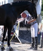 Reitenturnier Pulvermuehle Dusslingen 2016