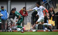 Fussball  1. Bundesliga 2025/2026  Testspiel  
SV Werder Bremen - TSG 1899 Hoffenheim