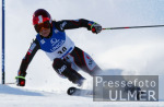 SKI   Weltcup  Riesensalalom  Slden Damen Tanja Schneider (AUT)