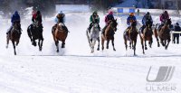 Pferdesport: White Turf  St. Moritz 2022