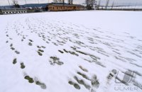 Fussball  2012/2013   SCHMUCKBILD; SPIELABSAGE; SCHNEE