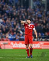 Fussball 1. Bundesliga: Mark van Bommel (FCB)