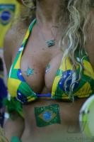 Fussball WM 2006: Japan - Brasilien