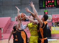 Basketball 2. Bundesliga  18/19 Tigers Tuebingen