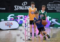 Barmer 2. Basketball Bundesliga  18/19: Tigers Tuebingen - Hamburg Towers