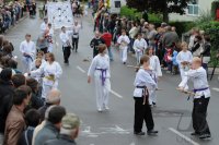 Kreismusikfest 2011:   200 Jahre Musikverein Hailfingen. Gro&Acirc;&sect;er Festumzug