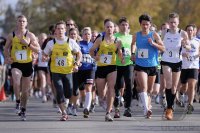 Lauf; Starzachlauf 2010