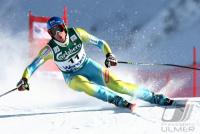 Ski Alpin  Herren Abfahrt Wengen