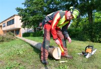 Hochschule Forstwirtschaft Rottenburg Waldwirtschaft 4.0: Digitalisierung im Prozesse der Holzernte