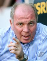 Fussball 1. Bundesliga, Bayern: HOENESS