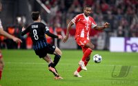Fussball International CHL 25/26: 
FC Bayern Muenchen - Club Bruegge
