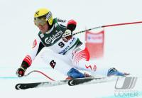 Ski Alpin  Herren Abfahrt Wengen